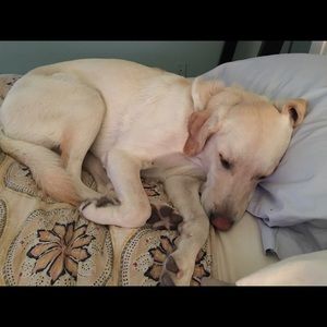 Meet your Posher, Christie