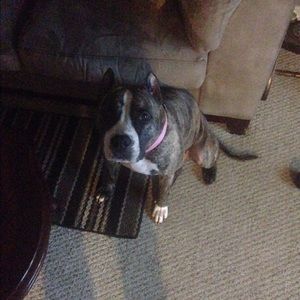 Meet your Posher, Greg