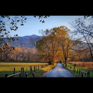 Meet your Posher, Juliet