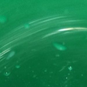 Meet your Posher, Angeles