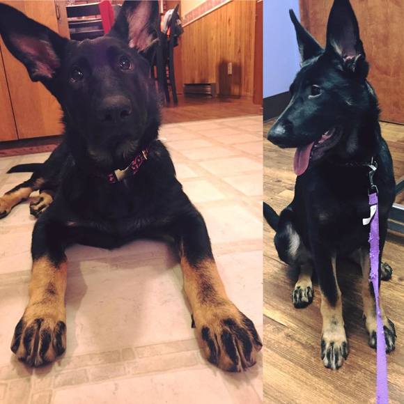 Meet your Posher, Julie