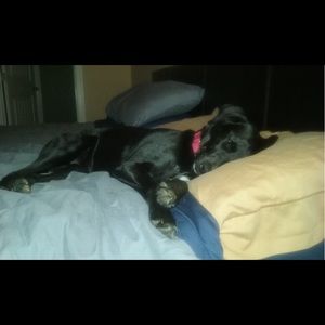 Meet your Posher, Sam