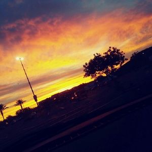 Meet your Posher, Carolyn