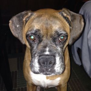 Meet your Posher, Christina