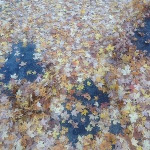 Meet your Posher, Patience