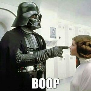 Meet your Posher, Jill