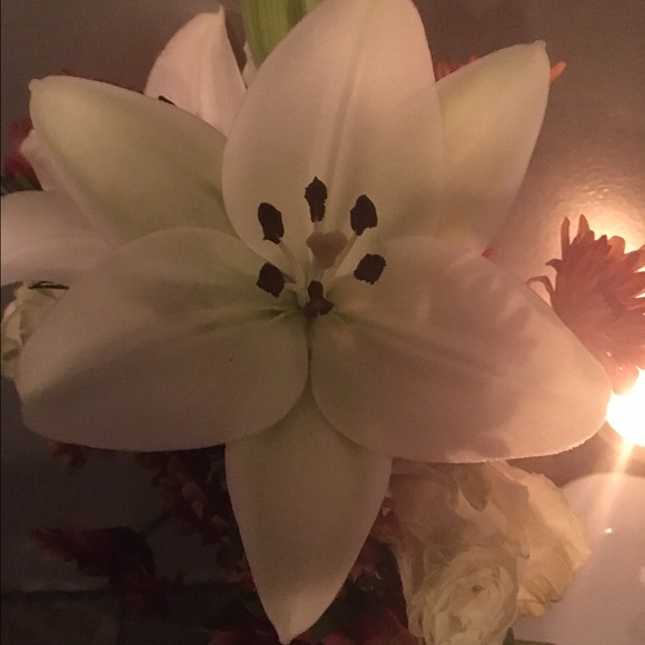 Meet your Posher, Shannon - Picture 1 of 1