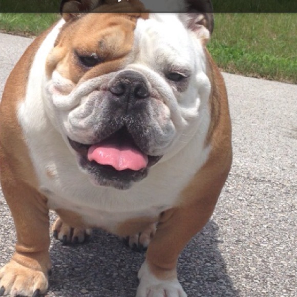 Meet your Posher, Irma