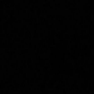 Meet your Posher, Elvis