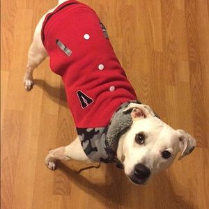 Meet your Posher, Ariel