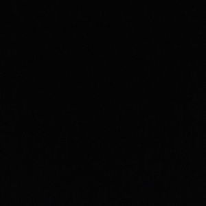 Meet your Posher, Dylan