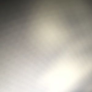 Meet your Posher, Royesha