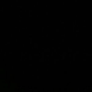 Meet your Posher, Tyson