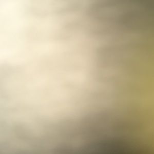 Meet your Posher, Jenessa