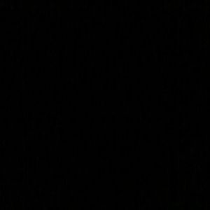 Meet your Posher, Brady