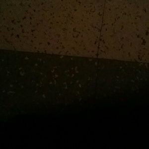 Meet your Posher, Antwan