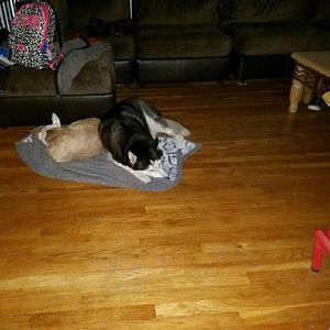 Meet your Posher, Dina