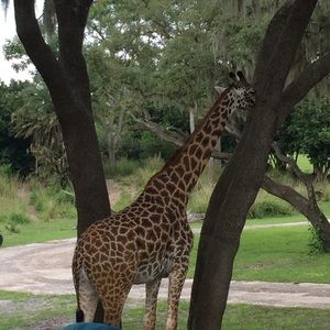 Meet your Posher, Monica