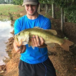 Meet your Posher, Cody