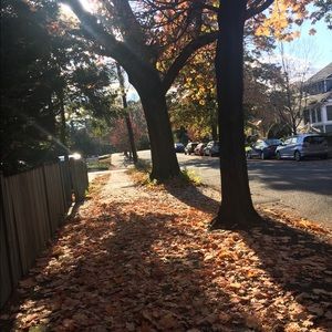 Meet your Posher, Holly