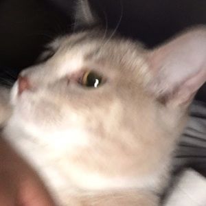 Meet your Posher, Danilo