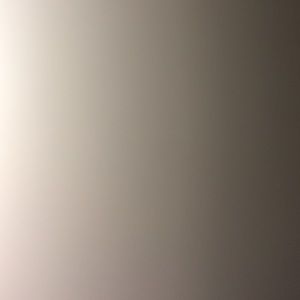 Meet your Posher, Gavin