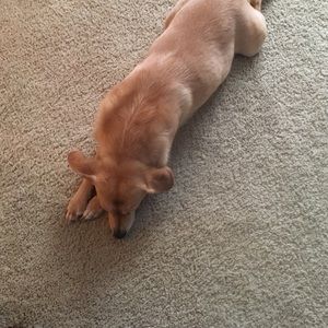 Meet your Posher, Brad