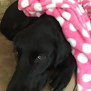 Meet your Posher, Julie