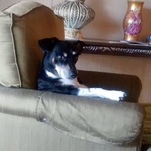 Meet your Posher, Wendy