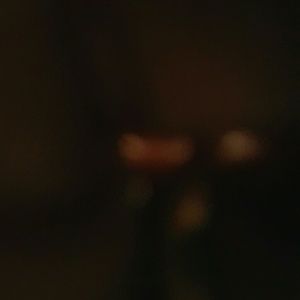 Meet your Posher, Devon