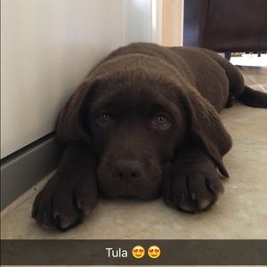 Meet your Posher, Evan