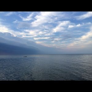 Meet your Posher, Sandy