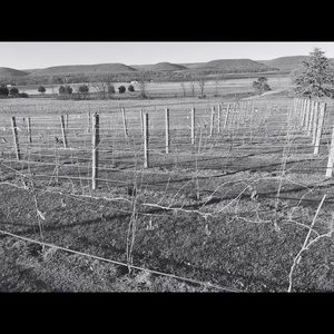 Meet your Posher, Scott