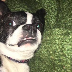 Meet your Posher, Isaac