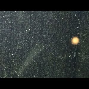 Meet your Posher, Claudia