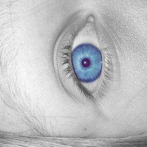 Meet your Posher, Molly