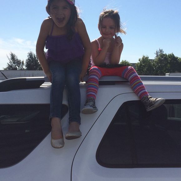 Meet your Posher, Lexie - Picture 1 of 1