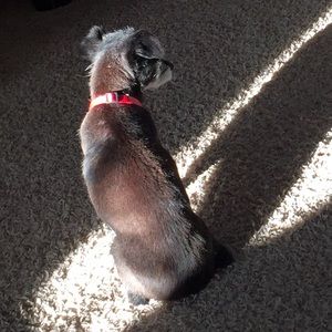 Meet your Posher, Juli