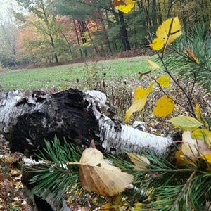 Meet your Posher, Bradley