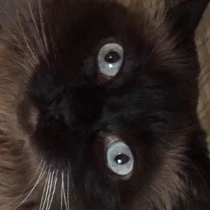 Meet your Posher, Judy