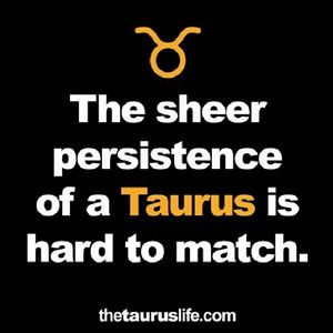 Meet your Posher, Kenneth