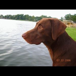 Meet your Posher, John