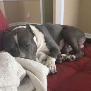 Meet your Posher, Martin