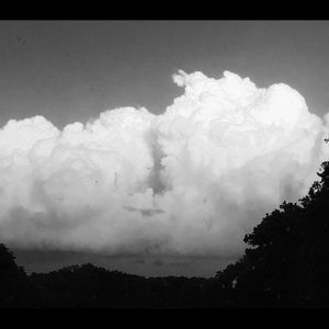 Meet your Posher, Marta