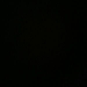 Meet your Posher, Leon