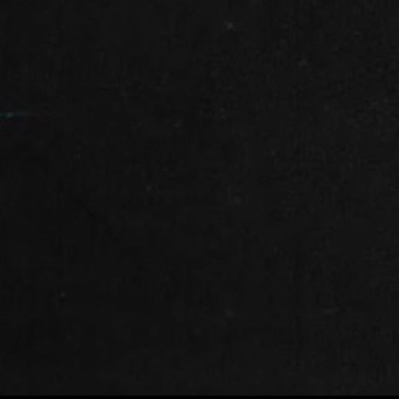 Meet your Posher, Lulu - Picture 1 of 1