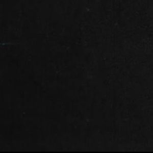 Meet your Posher, Lulu