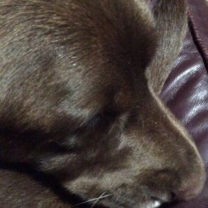 Meet your Posher, Keri