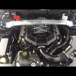 Meet your Posher, Haley