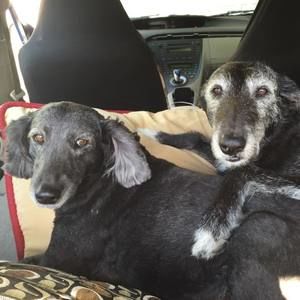 Meet your Posher, Deborah